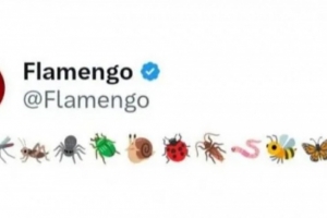 弗拉門戈嘲諷切爾西：一支像昆蟲一樣小的球隊！但引發(fā)爭議后刪除