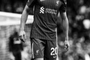 哈蘭德悼念若塔：安息迪奧戈，這一切發(fā)生得太突然???????