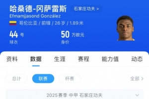 石家莊功夫外援談胡靖：對手被救助蘇醒，這比比賽更為重要