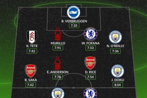 whoscored英超11月最佳陣：安德森、多庫領(lǐng)銜，哈蘭德、賴斯在列