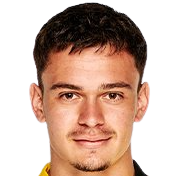 法比安·里德爾