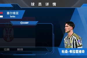 球員集錦：塞爾維亞全能前鋒弗拉霍維奇