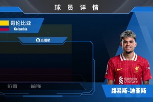 費迪南德：沙特承受不起放走C羅；我們之間不談錢??