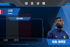 球員集錦：身材高大 速度出色的強(qiáng)力前鋒