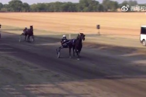 比拿冠軍還高興??！約老師看到自己的賽馬沖線獲勝激動揮舞雙臂