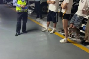 進(jìn)軍植發(fā)業(yè)！C羅和喬治娜現(xiàn)身自己新開的植發(fā)診所??