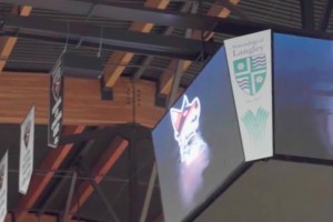 吉尼斯世界紀(jì)錄最遠(yuǎn)的籃球反彈投籃距離為 30.01 米！